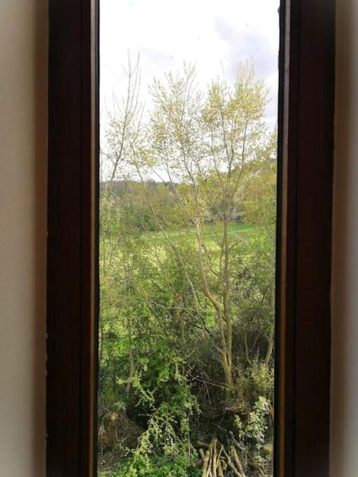 La Sittelle Des Aguesses Daire Andenne Dış mekan fotoğraf
